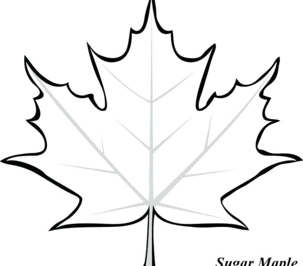 Maple Leaf Coloring Page