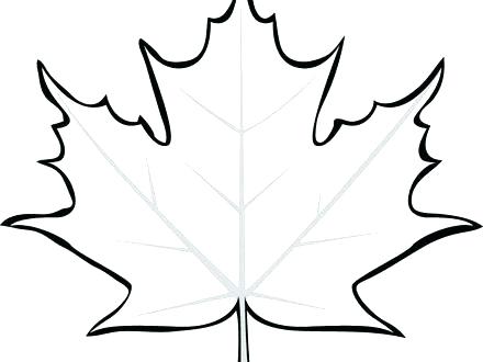 440x330 Maple Leaf Coloring Sheet Leaf Coloring Picture Maple Leaf