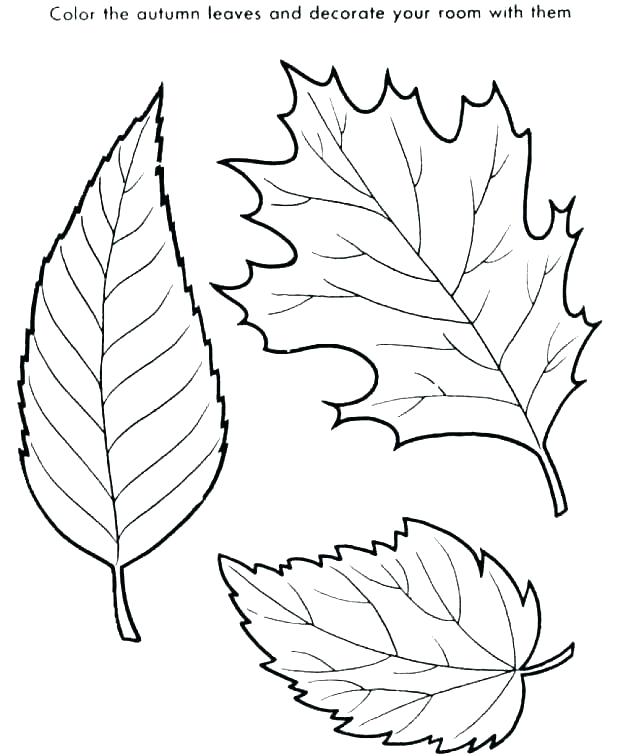 618x756 Leaf Color Pages
