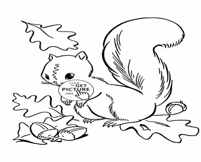 400x322 Maple Leaf Fall Coloring Page Pages And Oak Leaves