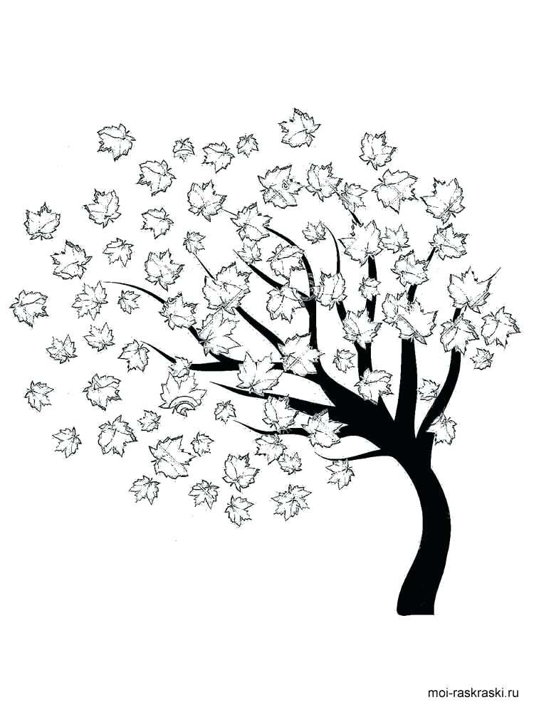 750x1000 Maple Tree Coloring Page Maple Tree Coloring Page Maple Tree Pages