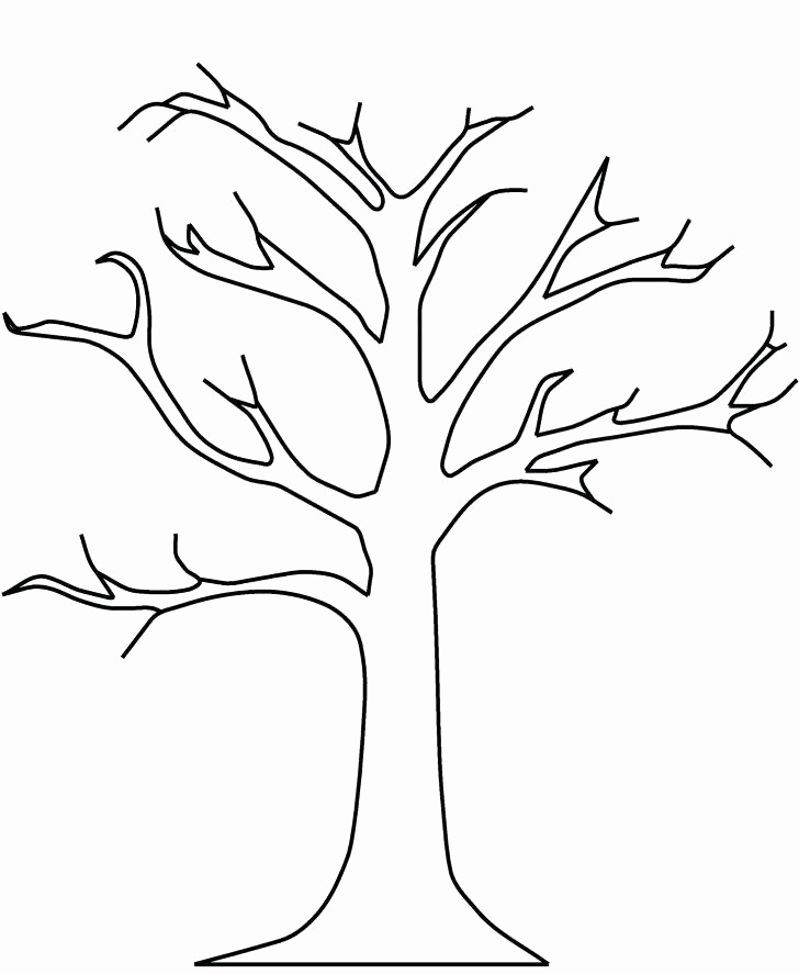 728x887 Maple Tree Coloring Page Photograph Maple Leaf Coloring Maple Leaf