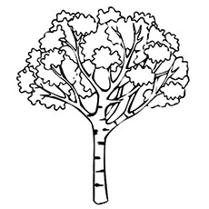 230x230 Top 25 Tree Coloring Pages For Your Little Ones