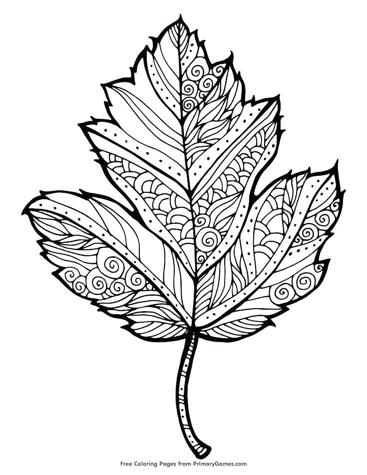 735x951 Autumn Printable Coloring Pages