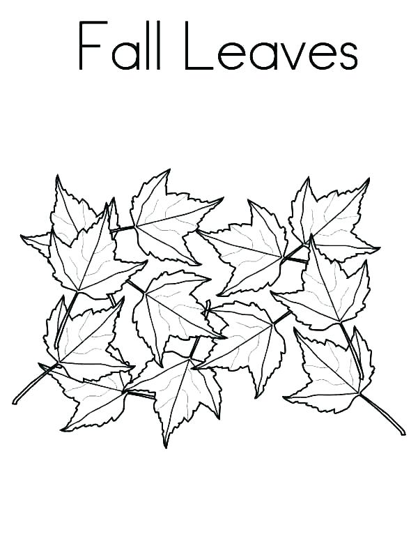 600x776 Fall Coloring Pages Free Printable For Adults Jgheraghty.site