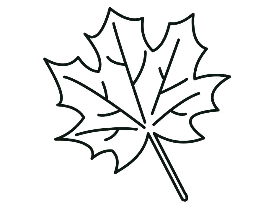 945x709 Coloring Page Leaf Red Maple Leaf Coloring Page Printable To Tiny