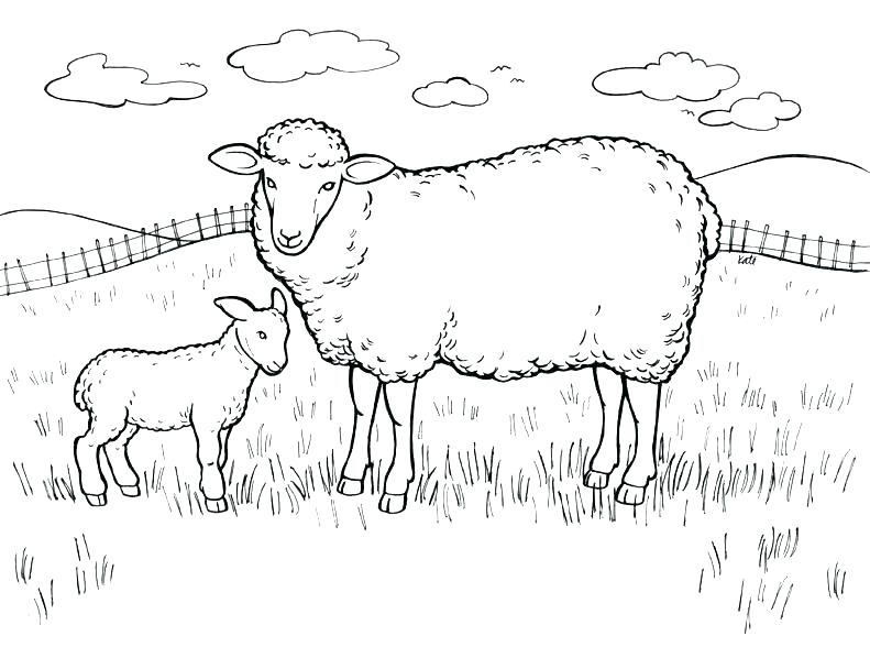 791x608 March Coloring Pages Printable March Coloring Pages Printable