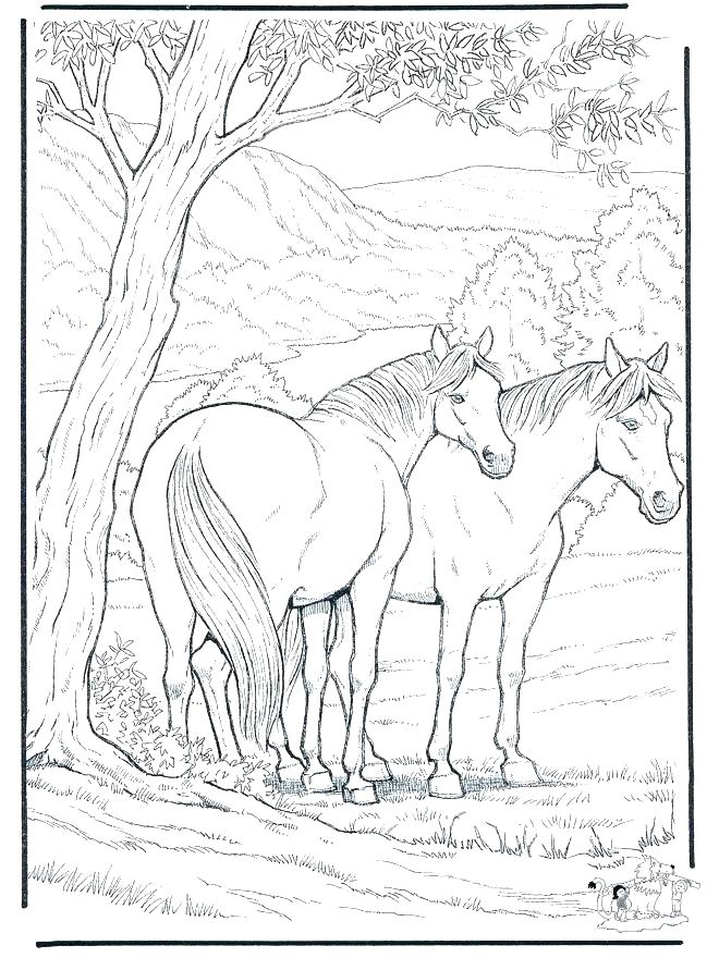 660x880 Horse Colouring Pictures Galloping Horse Horses Coloring Page Mare