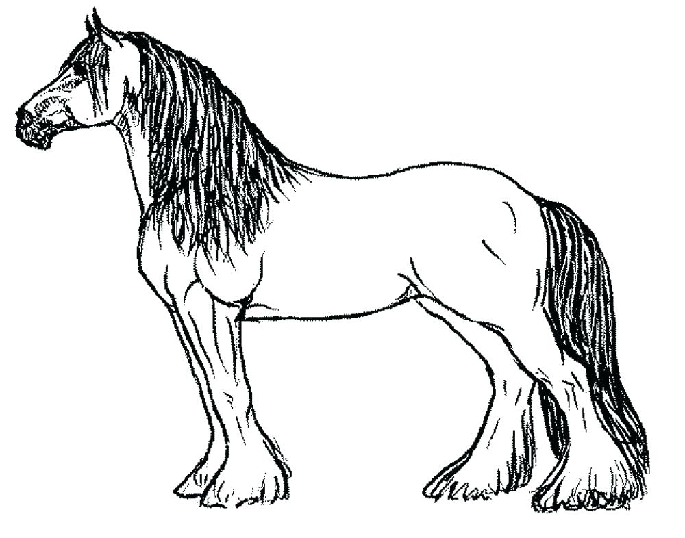 1000x786 Horse Coloring Sheet