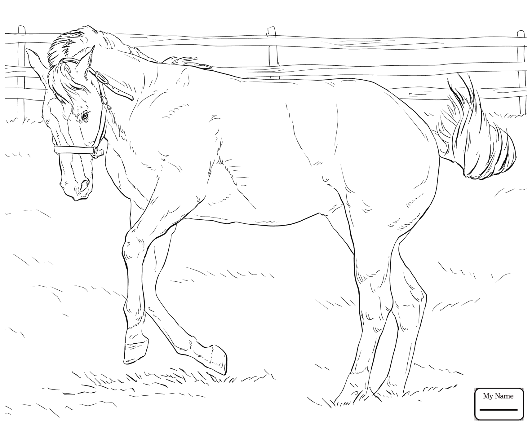 1716x1378 Bucking Foal Coloring Pages Collection Coloring For Kids 2018