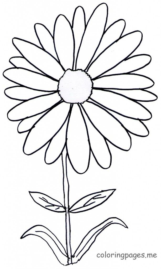 613x1024 Free Download Dibujos Para Imprimir Colorear Margaritas Margarita