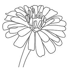 230x230 Top 25 Free Printable Flowers Coloring Pages Online
