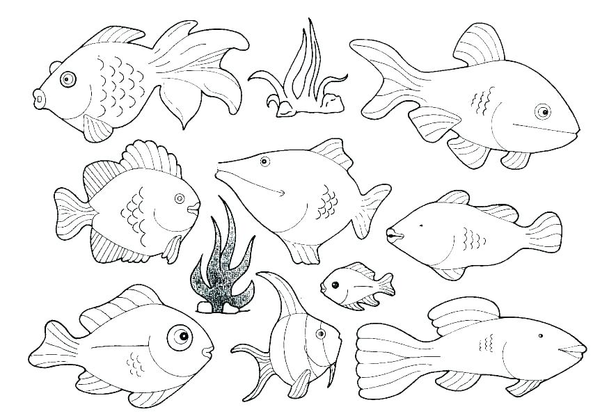 875x595 Best Photos Of Cute Sea Animals Coloring Pages Cute Animal Cute