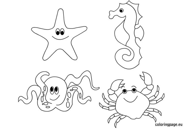736x514 Ocean Animal Coloring Pages Download Sea Creature Coloring Page