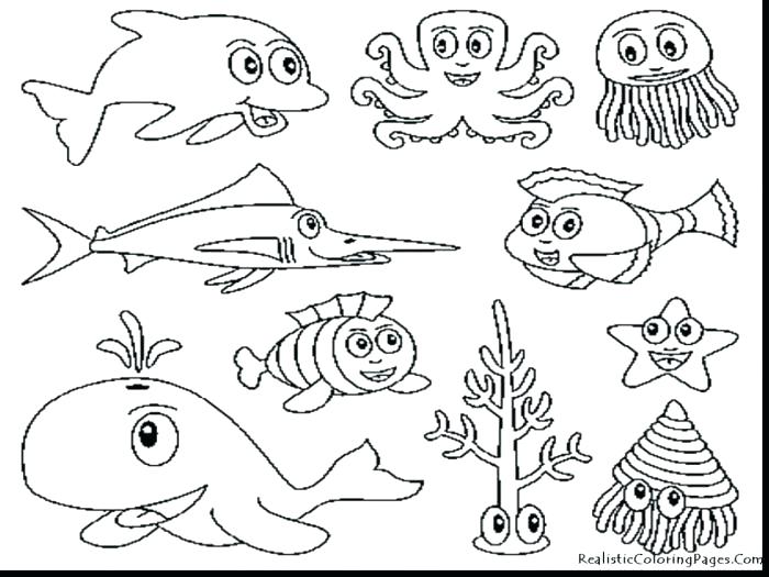 700x525 Marine Coloring Page Illustration Of Sea Turtles Marine Coloring