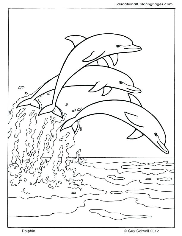 612x792 Marine Coloring Page Marine Coloring Page Coloring Pages