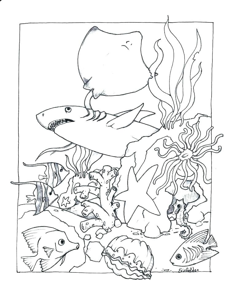 736x954 Ocean Life Coloring Pages Sea Animals Coloring Pages Life Ocean