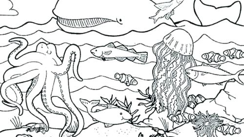 500x280 Sea Life Coloring Pages Underwater Sea Life Coloring Sheets Free