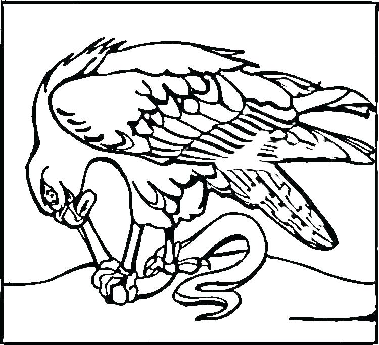 750x683 Seahawks Coloring Pages Coloring For Kids Pages Wonderful