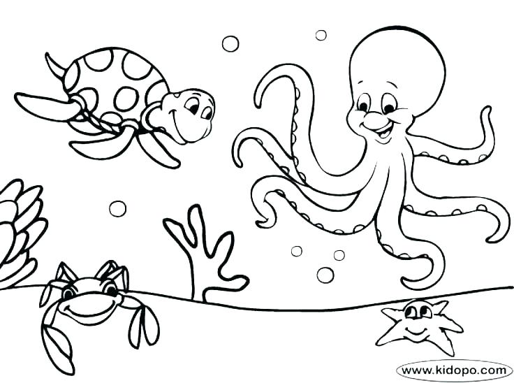736x548 Seattle Seahawks Colouring Pages Logo Coloring Mariners Page Super