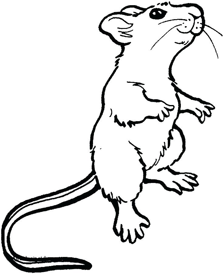 737x900 King Boo Coloring Pages Beanie Boo Coloring Pages Photo Mario Kart