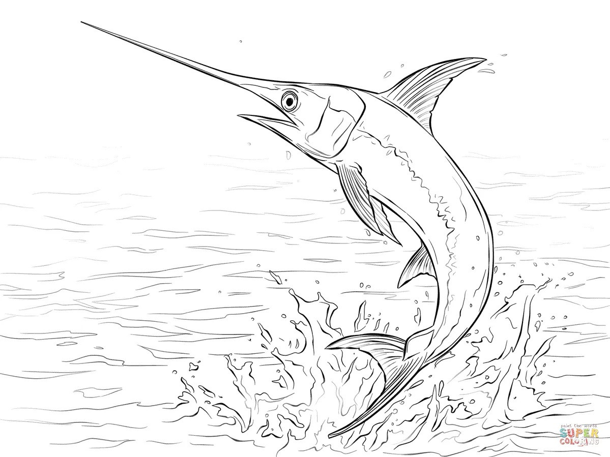 Marlin Coloring Pages