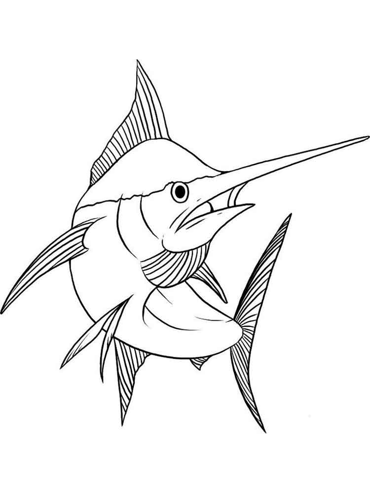 750x1000 Marlin Coloring Pages. Download And Print Marlin Coloring Pages.