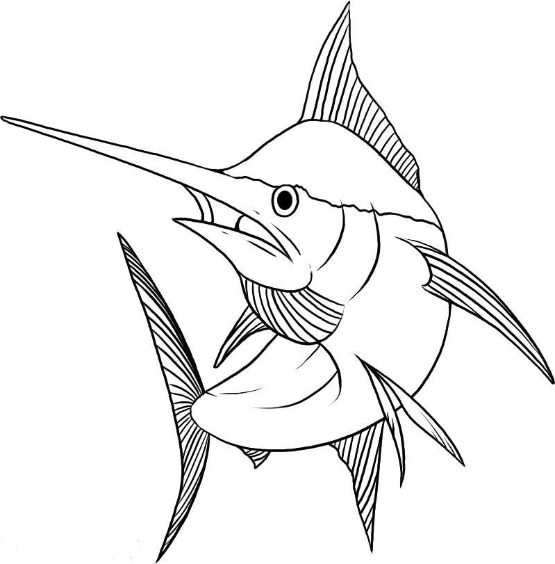 799x811 Marlin Coloring Pages