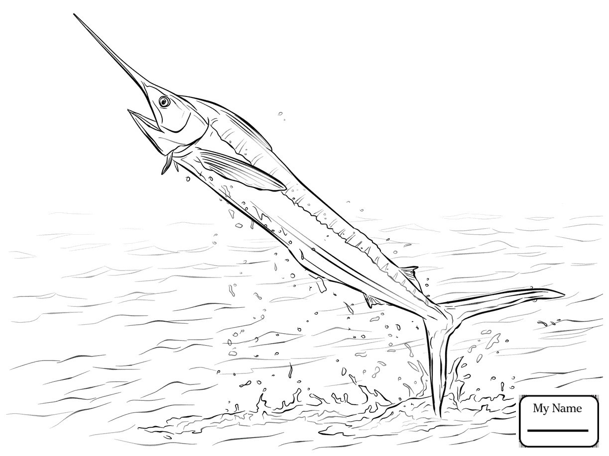 1223x917 Realistic Atlantic Blue Marlin Coloring Pages 15