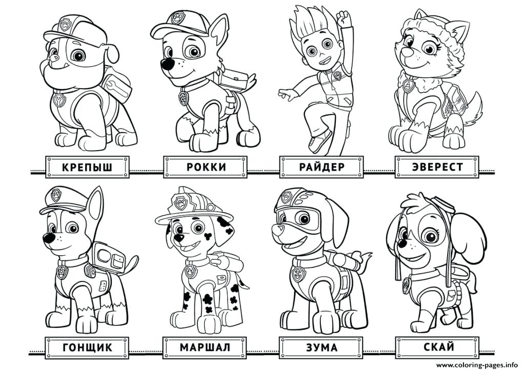 1024x724 Marshall Paw Patrol Coloring Pages Paw Patrol Coloring Page Paw