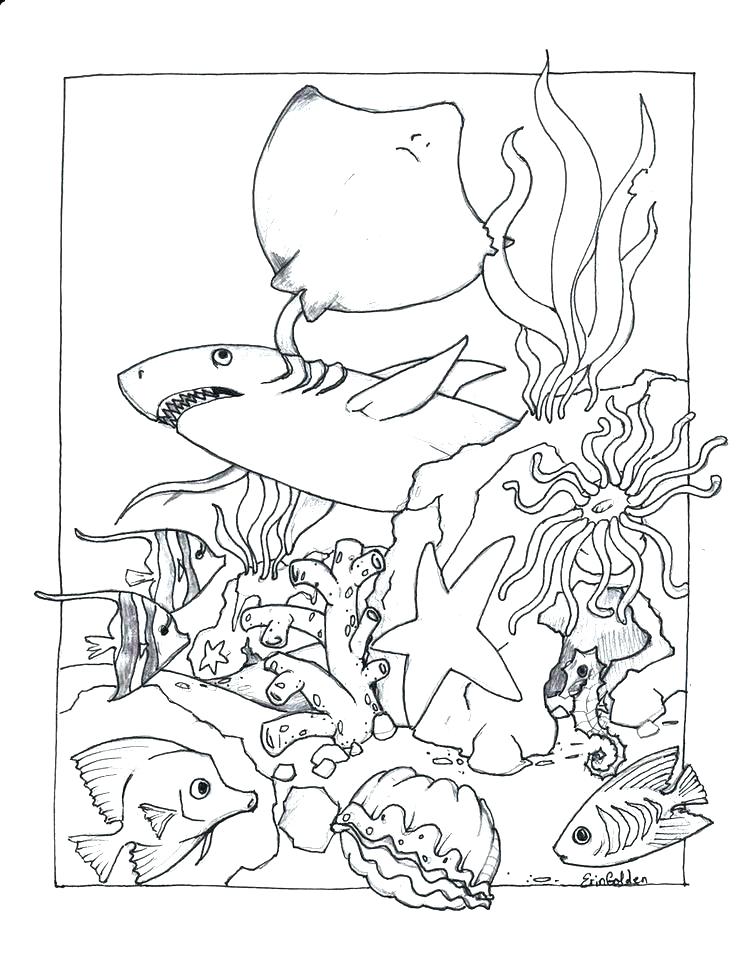 736x954 Mary Elizabeth Coloring Pages Page First Name Fuhrer Von Laura17