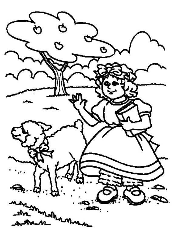 600x772 Drawing Mary Had A Little Lamb Coloring Pages Color Luna