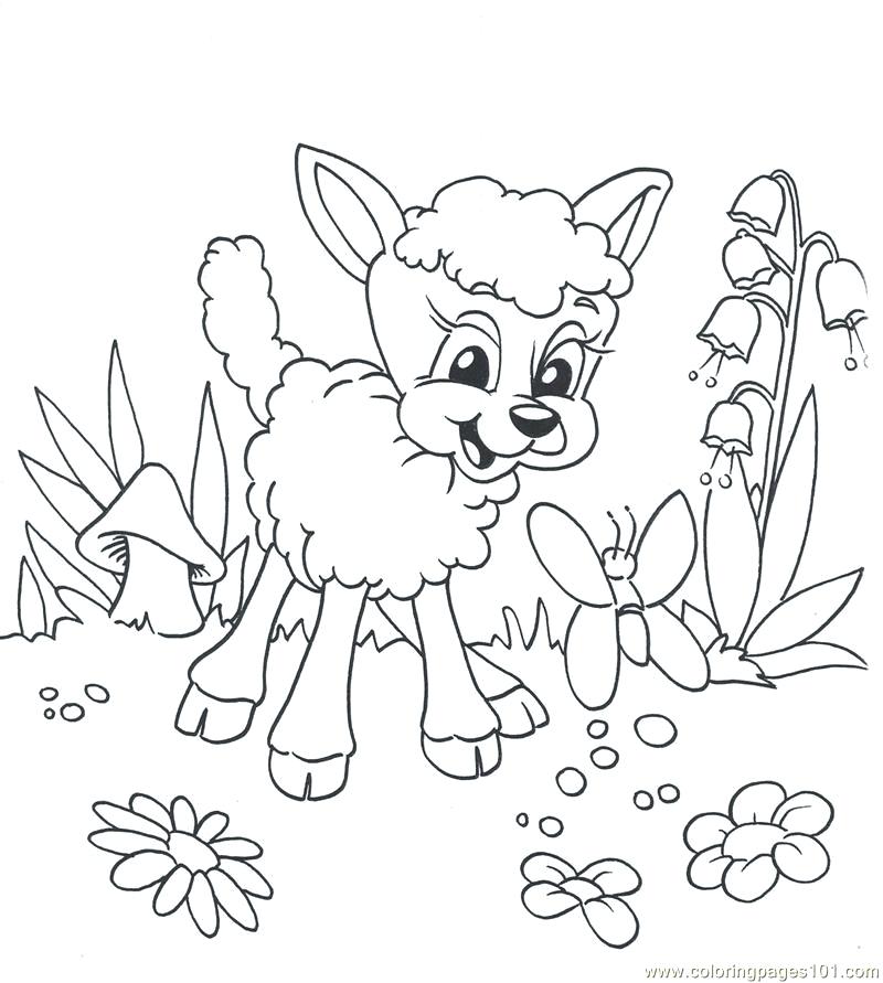 800x891 Fresh Lamb Coloring Page For Lamb Animal Coloring Page 81 Mary Had