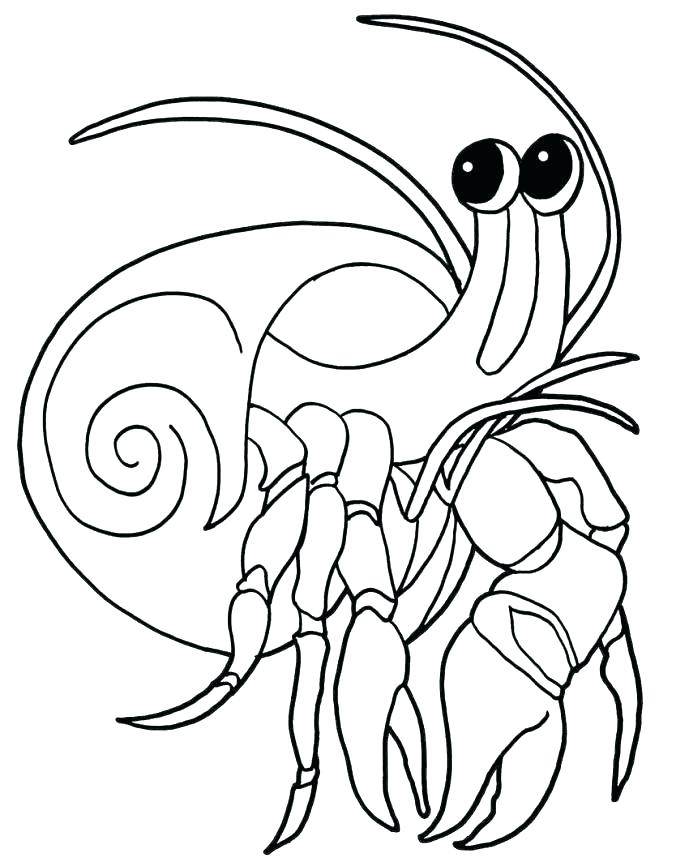 689x866 Maryland Coloring Pages X Maryland Flag Coloring Pages