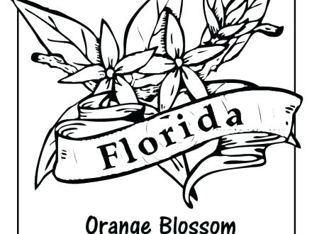 440x330 State Flower Coloring Pages