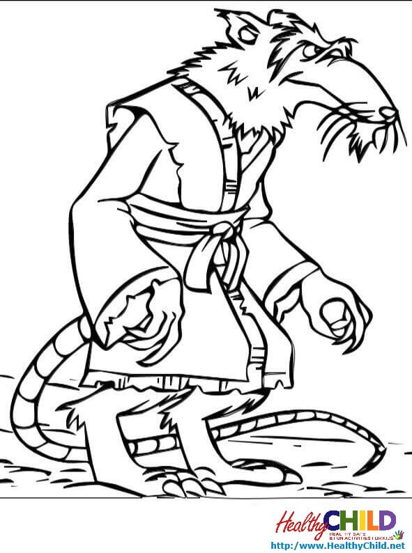 591x794 Tmnt Master Splinter 2