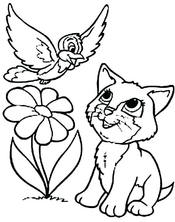 600x763 Coloring Pages For Kids Free Printable Teenage Mutant Ninja