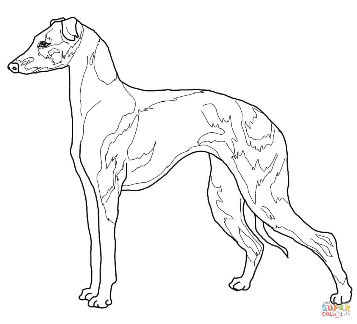 1200x1090 Fascinating Whippet Coloring Pages Animal Cart