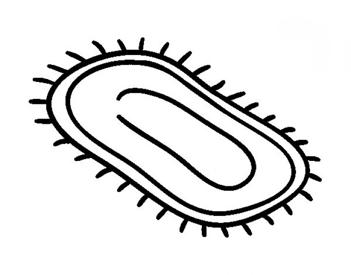 720x564 Mat Coloring Pages
