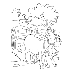 Matador Coloring Page