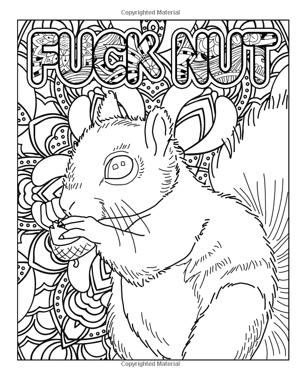 600x750 The Vulgar Offensive Very Adult Coloring Book