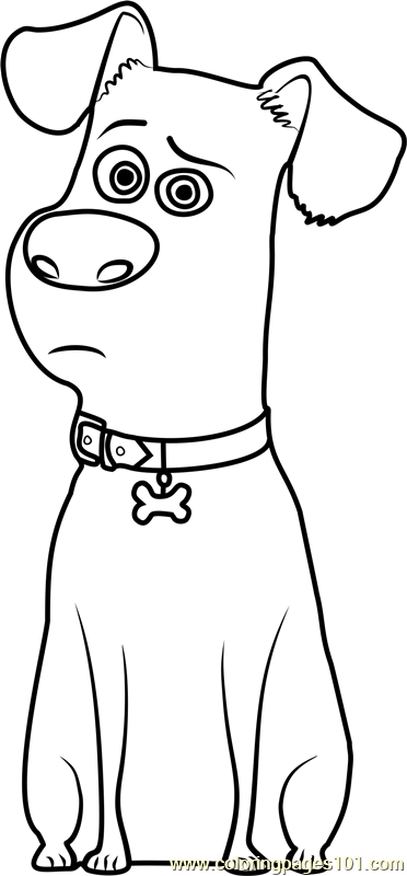 372x800 Max Coloring Page