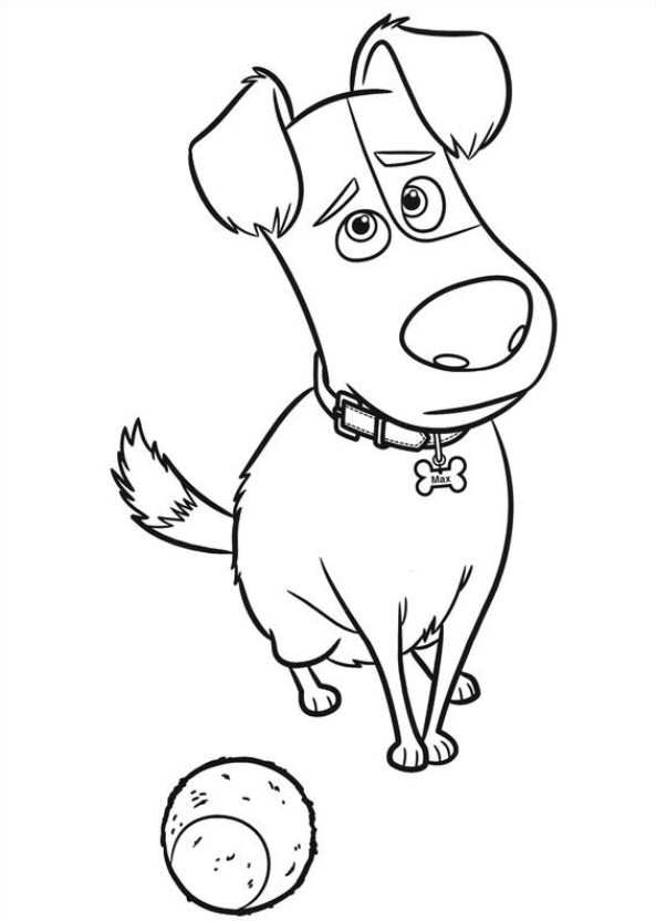 593x832 Kids N 29 Coloring Pages Of Secret Life Of Pets