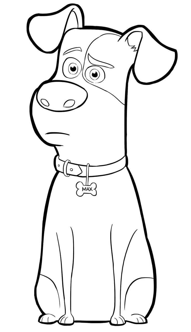 736x1280 Secret Life Of Pets Coloring Pages Download Coloring For Kids 2018