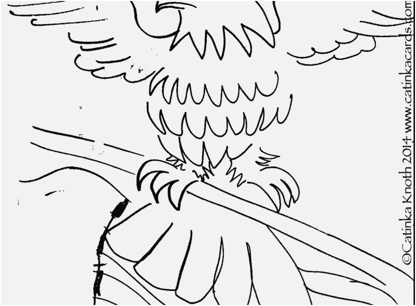 827x609 A Good Shoot May Coloring Pages Modern