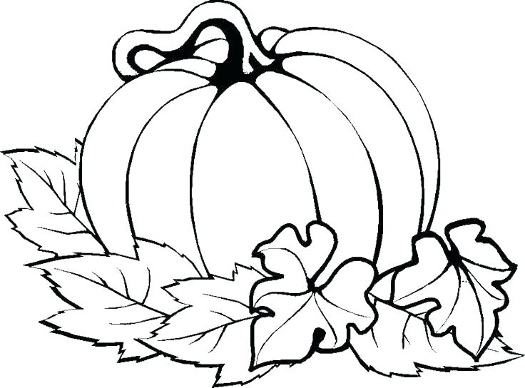 736x544 Mayflower Coloring Pages Mayflower Ship Coloring Page Christian