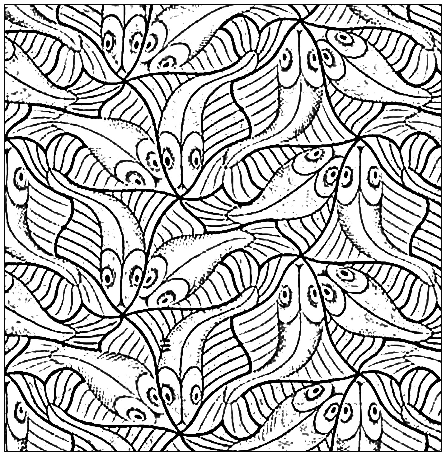 1433x1465 Squared Drawing With Fishes