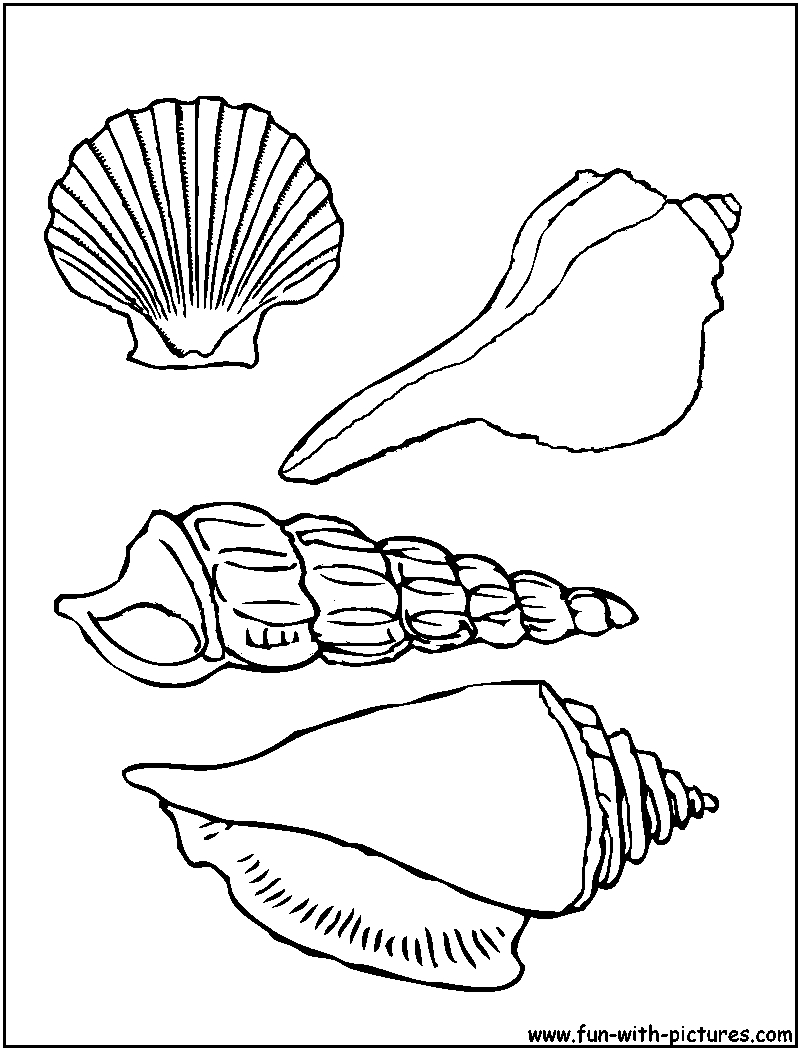 800x1050 Coloring Pages Of Starfish Free Coloring For Kids 2018