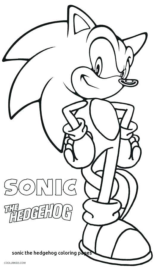 538x900 Coloring Hedgehog Hedgehog Hedgehog On The Meadow Coloring Pages