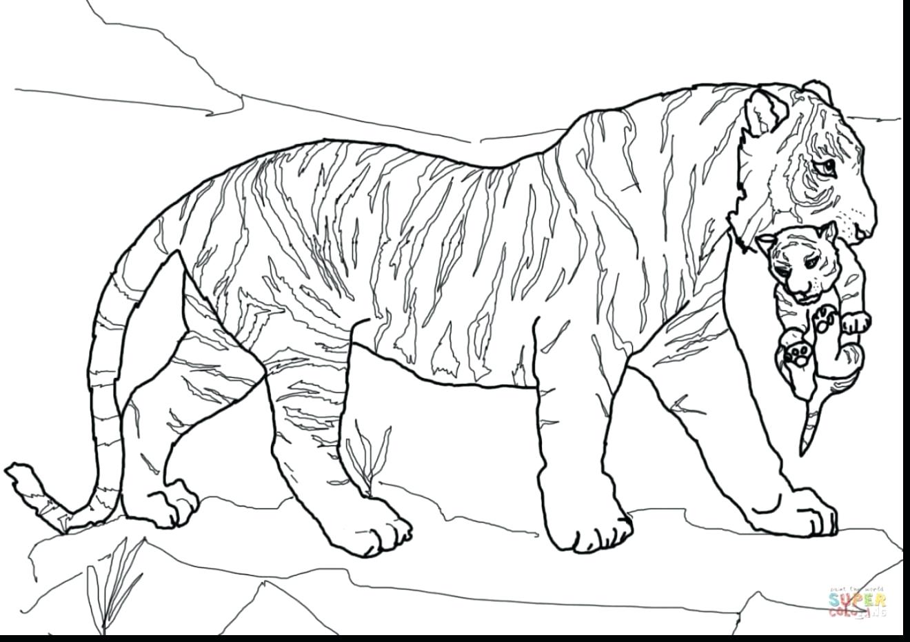 1320x931 Coloring Pages Thanksgiving Free Page Images Mother Elephant